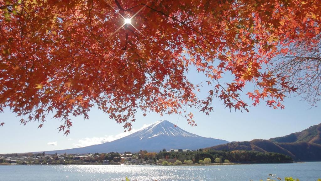 Villa Relax Fujikawaguchiko Dış mekan fotoğraf